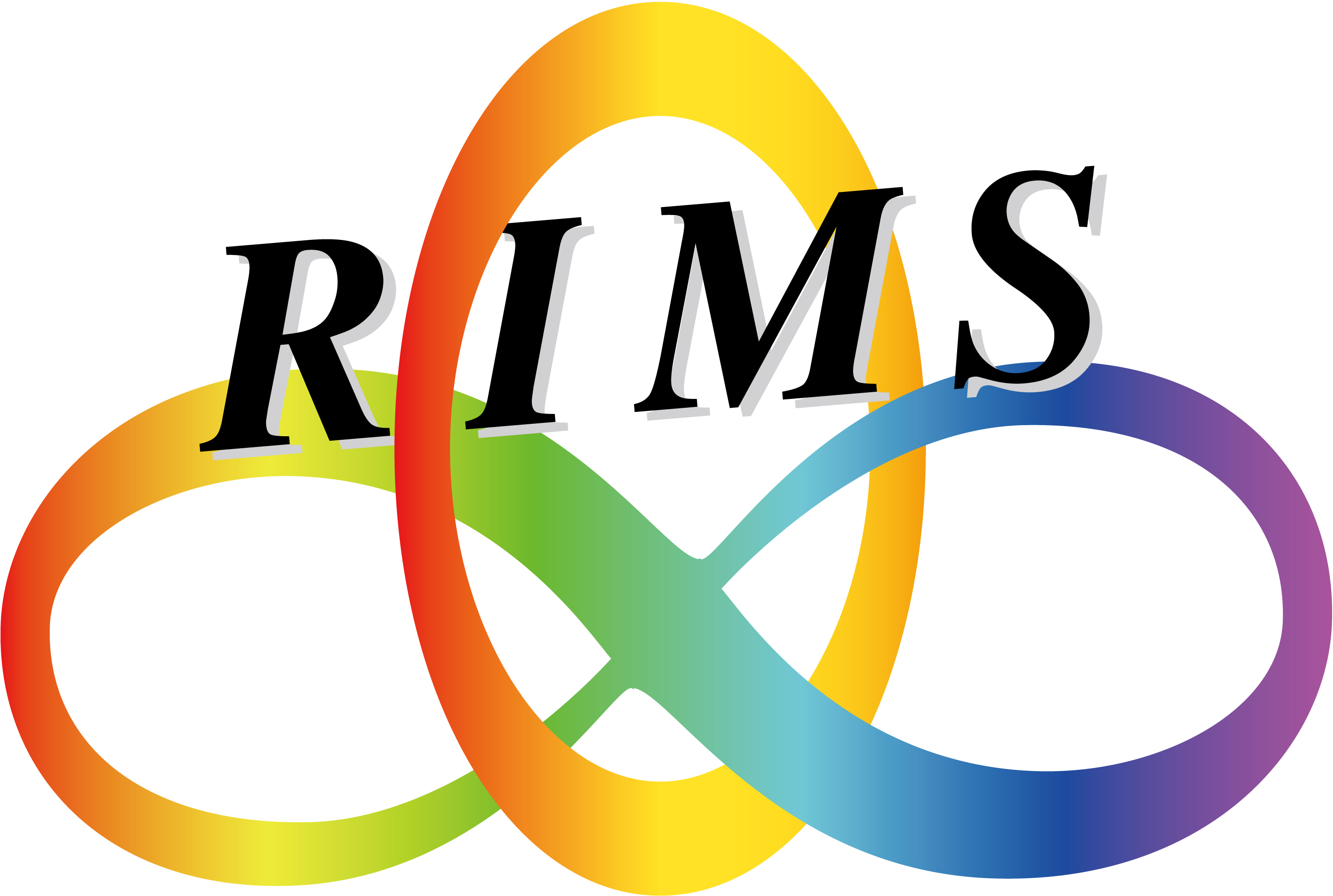 Kyoto University RIMS logo